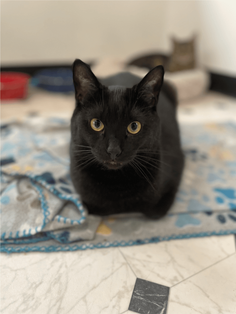 edgar
