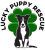 Lucky Puppy Rescue